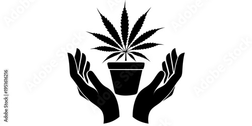 Hands holding a pot with a growing cannabis plant. Black vector silhouette of marijuana leaf, medical hemp cultivation, legal weed business and organic CBD concept