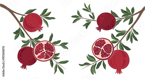 Two decorative pomegranate branches with ripe fruits and leaves on a white background, symbolizing harvest and nature's bounty