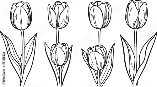 Coloring vector tulip book page with six beautiful flowers