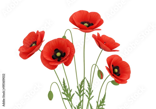 Vibrant red poppies blooming against a soft white background