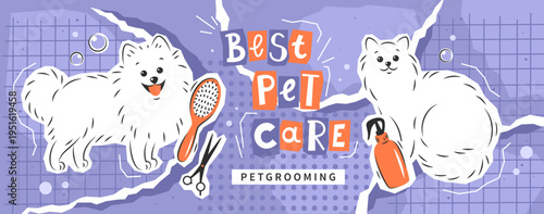 Pet grooming. Dog and cat with tools for animal hair grooming, haircuts, bathing, hygiene. Collage scrapbook in style and pieces of torn and crumpled paper. Vector illustration for pet care salon.