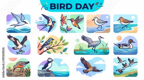 Bird Day Collection: Diverse Avian Life in Natural Habitats