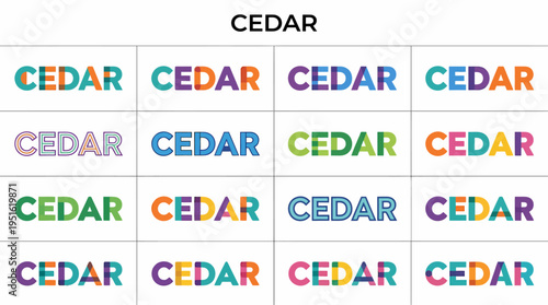 CEDAR word in various colorful fonts and styles