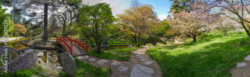 Boulogne-Billancourt, France - 03 17 2026: Albert Kahn's garden. Panoramic view of a Koi pond reflecting a red wooden footbridge and colorful trees and cherry trees in a Japanese garden in spring