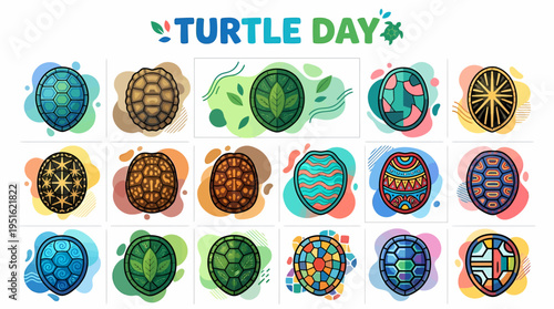Turtle Day Collection: Diverse Shell Designs