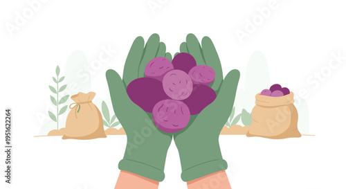 Hands in green gloves are holding purple root vegetables with sacks and foliage in the background.