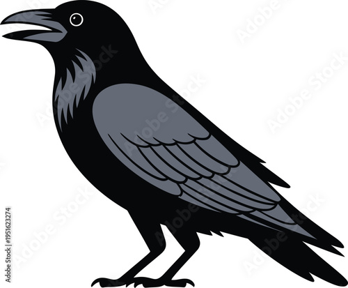 Stylized Black Crow Bird Perching Looking Down Isolated on White Vector Illustration