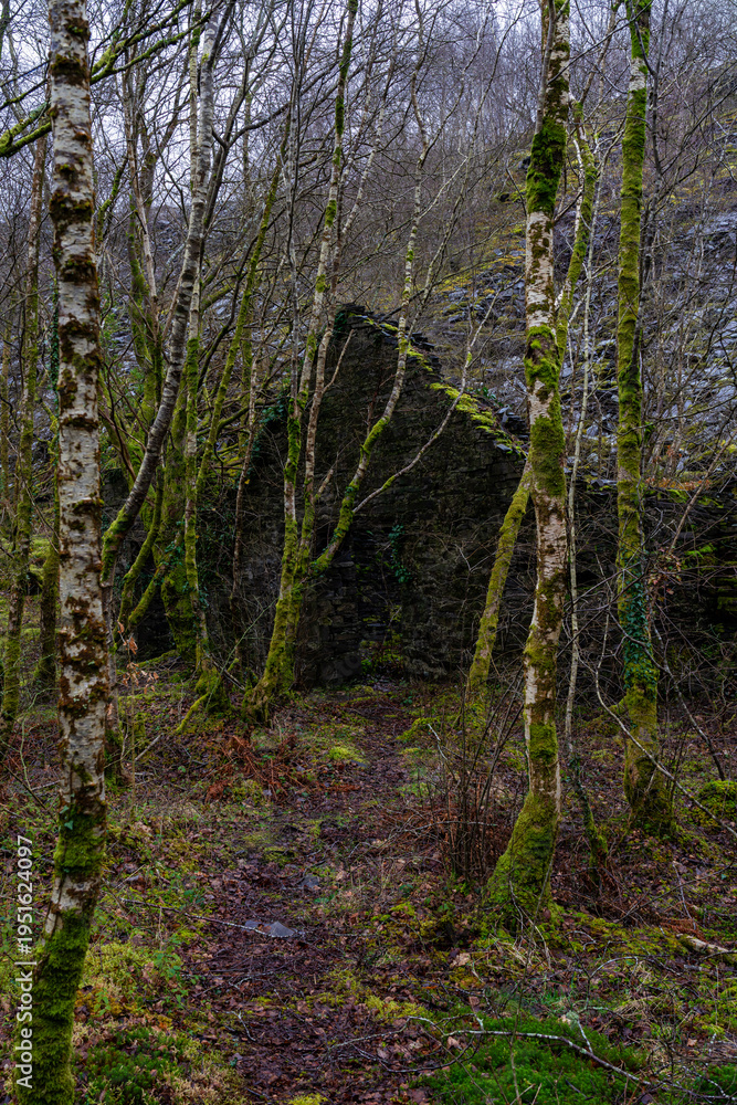 Fototapeta premium Overgrown stone building within Dorothea Slate Quarry