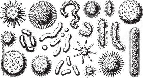 Bacteria microorganisms set hand drawn microbes biology science illustration