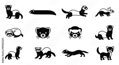 Set of ferret icons in silhouette for animal lovers and graphic design needs