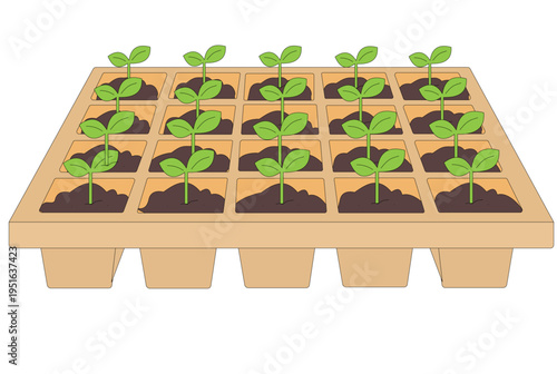 A beige seedling tray with 15 young green plants growing in individual soil-filled compartments, illustrating early plant growth and gardening.