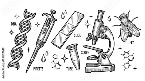 Scientific Laboratory Equipment Set with DNA Helix Microscope Pipette and Fruit Fly Vector Illustration