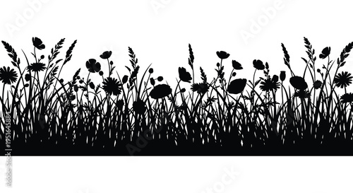 A striking black and white floral landscape featuring tall grasses and wildflowers in dramatic silhouette high quality professional detailed modern elegant