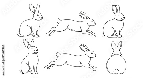 Continuous line art illustrations capturing the charming essence of rabbits in a variety of dynamic and serene poses, showcasing their natural agility and gentle beauty as outlined vectors