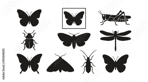 A set of black insect silhouettes including butterflies, moths, beetles, a dragonfly, and a grasshopper on a white background, useful for design, education, and nature-themed projects.