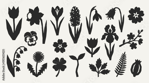 Spring flowers silhouette collection. Black icons set - tulip, daffodil, crocus, bluebell, iris bloom, dandelion, lily valley, blossom branch. Vector linocut style minimalist design elements.