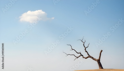 Lonely tree against clear sky desert landscape nature photography minimalist view