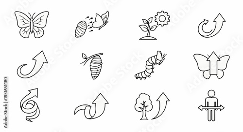 A set of twelve outline icons depicting growth, transformation, and progress