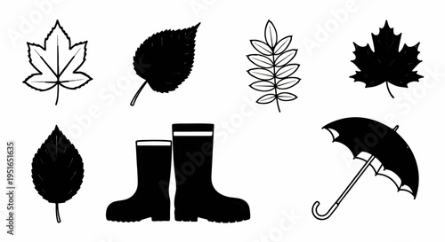 Autumnal elements leaves, boots, and an umbrella for fall weather