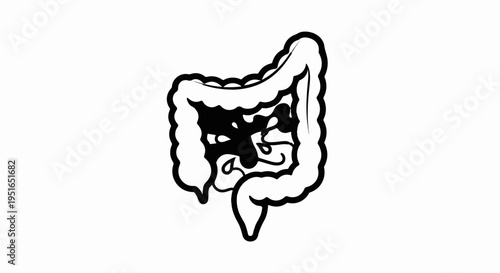 Stylized outline of the human digestive tract, white background