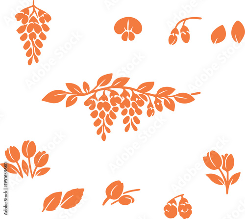Orange floral silhouette set of wisteria hanging flowers and spring tulips for creative projects