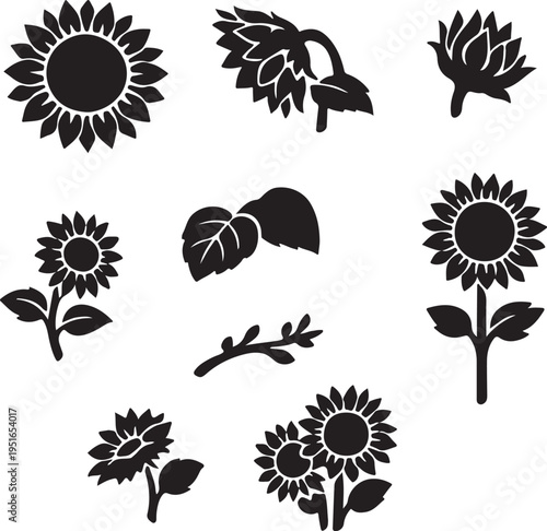 Silhouette collection of sun flowers in various growth stages including blooming heads and leaves