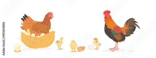 Cute cartoon farm birds collection. Vector hand drawn illustrations of Red Chicken family. Hen, Rooster and little Chicks isolated on white background. Set of poultry clip art.