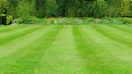 Papier peint photo Établissements de soins Pelouse rayée jardin de luxe  © 1000 Words
