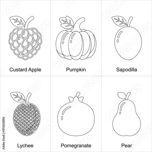 Fruit Outline Icon Set - Custard Apple, Pumpkin, Sapodilla, Lychee, Pomegranate, Pear Vector Line Icons