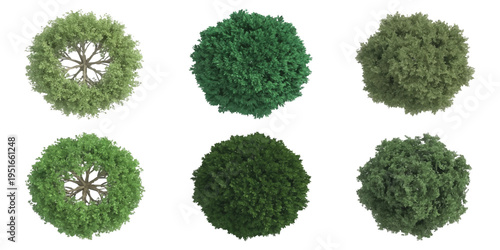 Set of top view tree vector illustrations for landscape design, architectural site plans, and garden maps layout on white background