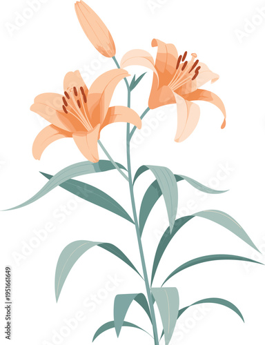 Professional young woman working on laptop in bright modern home office, typing on keyboard, remote work lifestyle, freelancer business woman.