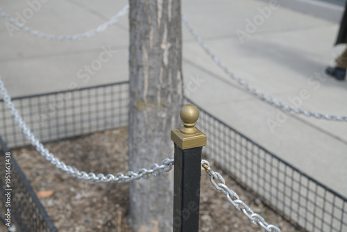 post-and-chain tree guard