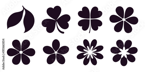 Flower Cycle Shapes Set Black Petal Diagram Circular Infographic Steps