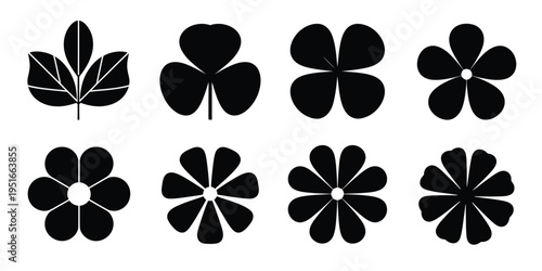 Flower Cycle Shapes Set Floral Circular Diagram Petal Infographic Template