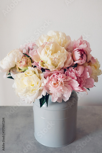 Beautiful bouquet of fresh colorful peonies in full bloom in vase. Floral spring still life.