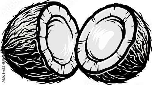 Tropical Coconut Slice Silhouette Modern Vector