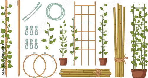 Plant Support and Trellis System Set with Bamboo Stakes, Plant Ties, Hoops, Wire, Pots, and Trellis for Climbing Plants Illustrations