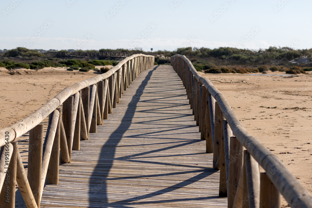Obraz premium Boardwalk through Punta del Boqueron dune, wetland and beach reserve, near Cadiz, Spain 