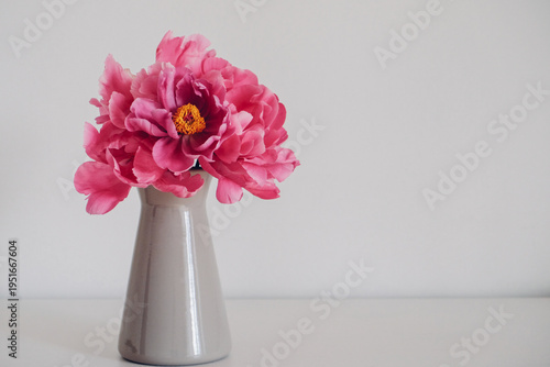 Beautiful bouquet of fresh magenta peony flowers in full bloom in vase against white background. Floral still life with blooming peonies. Negative space for text.