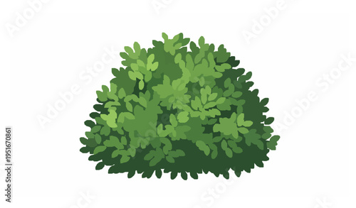 Lush green bush vector with dense leafy foliage garden plant isolated on white background