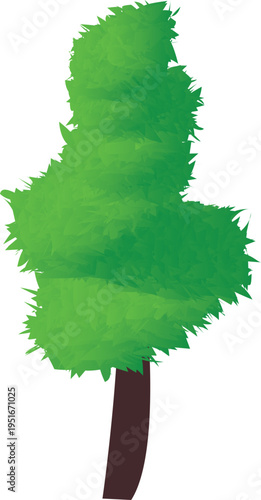 Picea pungens colorado blue green spruce evergreen pinaceae needled tree isolated png on a transparent background premium cutout