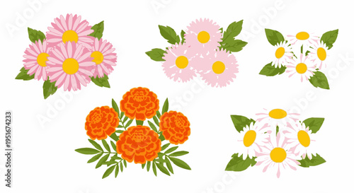 Daisy marigold and pink aster bouquet set on white background