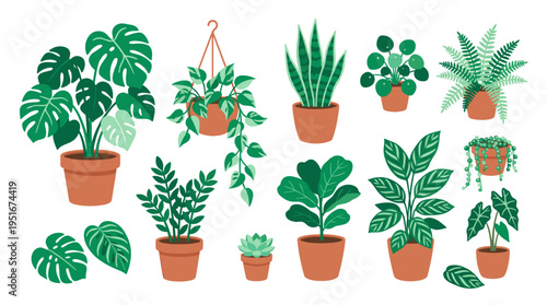 Set of Various Potted Houseplants and Decorative Indoor Greenery Collection
