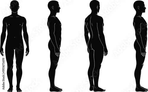 Male human body silhouette set, front side back view, anatomy reference, muscular figure, medical study, minimal black white vector illustration