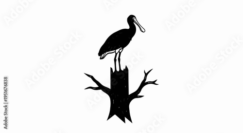 Black bird with long beak perched on a broken tree stump