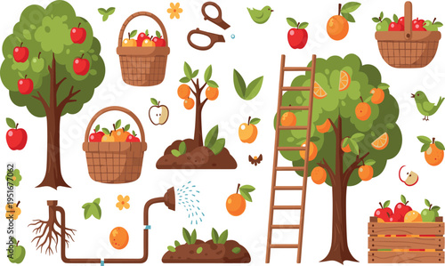 Fruit Harvest and Orchard Farming Illustration Set with Apple Trees, Baskets, Ladder, Irrigation and Fresh Produce Elements