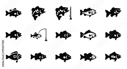 Set of bass fish icons, various styles of game fish, illustrations for fishing, sport and aquatic wildlife designs