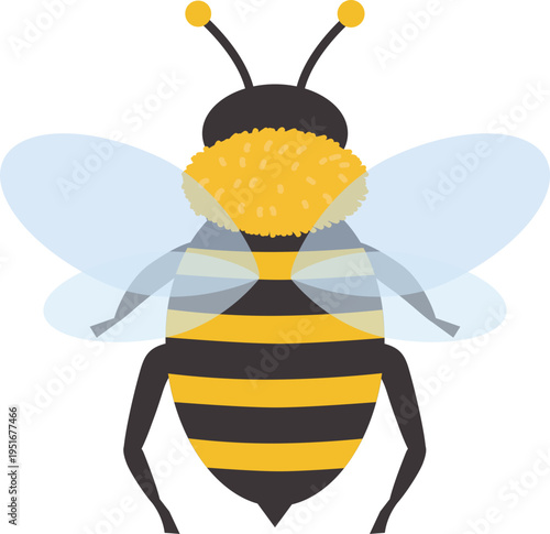 뒷모습을 하고 있는 꿀벌