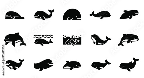 White whale beluga silhouettes set depicting different swimming angles and underwater behaviors