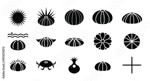 Collection of black stylized sea urchin and starfish icons, marine life theme